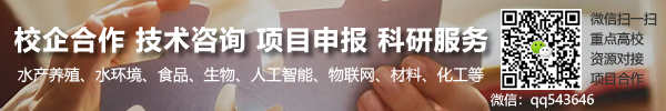 从西安市沿街商铺立面改造看“老字号”的牌匾